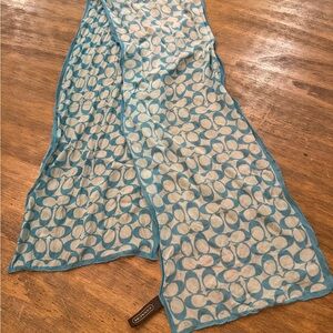 Coach Blue and White Scarf stains